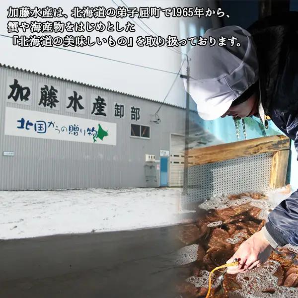 山わさび醤油漬け 100g 3瓶 薬味 辛味 調味料 弟子屈町 ワサビ 山葵 手づくり ホースラディッシュ おかず ご飯のお供 お取り寄せ グルメ gift ギフト 送料無料 北海道 弟子屈町 294