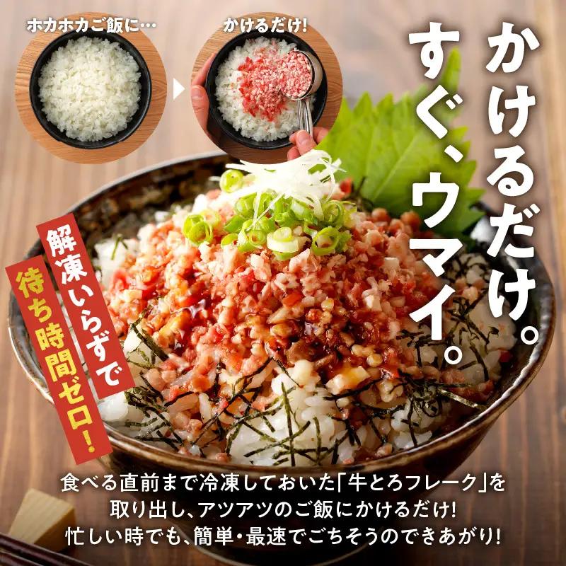 【2回定期便】毎月付属のタレが変わる！牛とろ丼セット180g 計27食分【 牛とろ丼 セット 牛とろ 北海道 清水町 グルメ 牛フレーク 詰め合わせ お肉 牛 国産 北海道産】_S006-0266