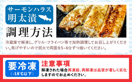 明太づくし Bセット 株式会社マル五 《30日以内に出荷予定(土日祝除く)》 明太子 数の子 イカ いか サーモン ハラス 腹身 魚  博多 辛子明太子 九州 名物