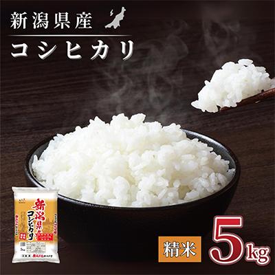 ふるさと納税 見附市 【令和7年産 新米】新潟県産 コシヒカリ 5kg 精米 新潟 の美味しい お米