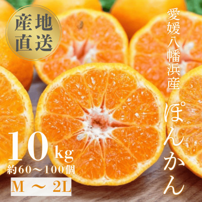 
            国安さんちの愛媛ポンカン10kg＜D20-4＞【1094581】
          