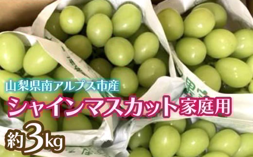 ＜2026年発送先行予約＞シャインマスカット (新鮮直送・家庭用3kg)  ALPCZ015