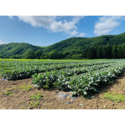 ふるさと納税 西興部村 北海道から産地直送!栽培期間中農薬・化学肥料・除草剤不使用 スティックセニョール 1kg |  | 03