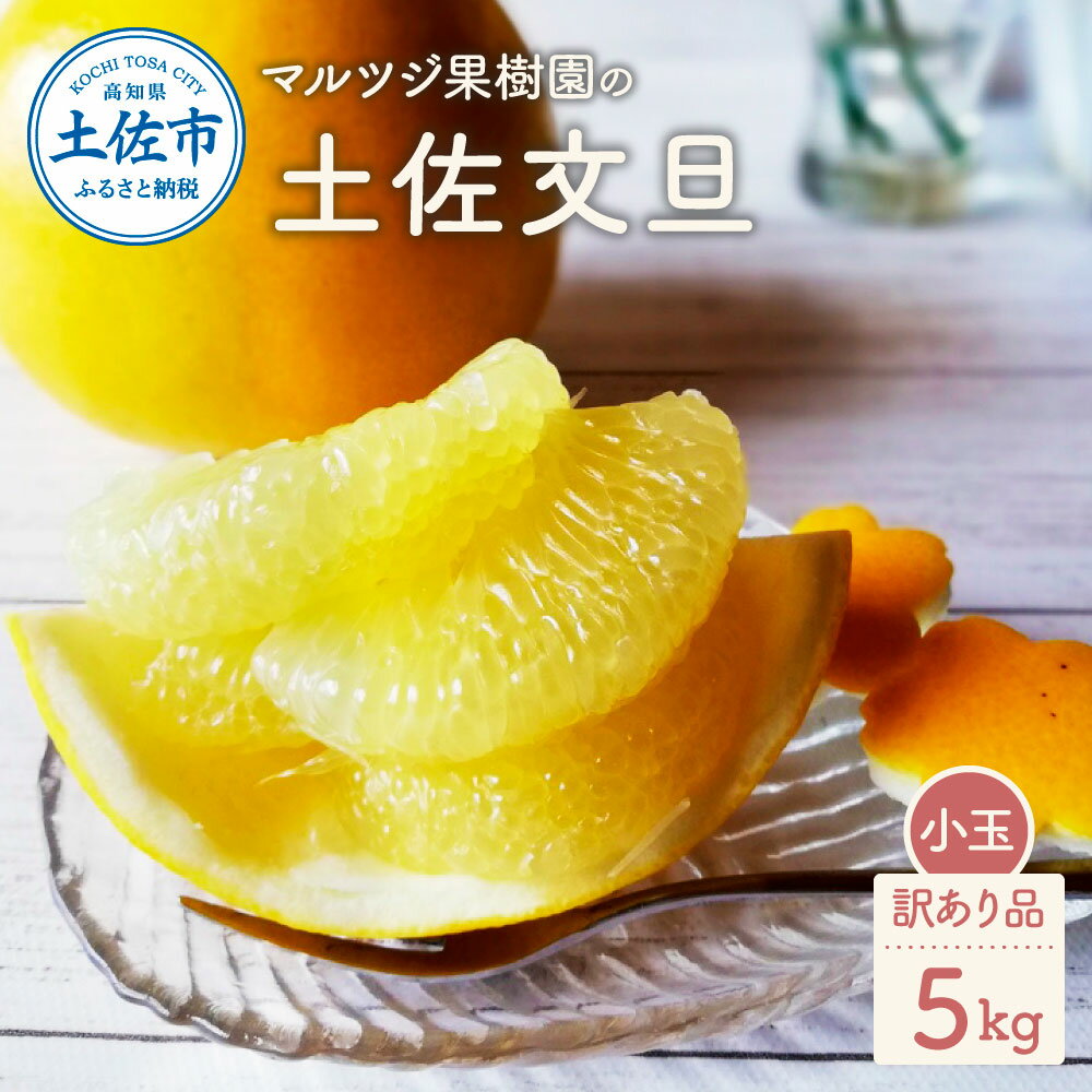 【ふるさと納税】マルツジ果樹園の土佐文旦 訳あり品(小玉) 約5キロ 5kg M~Lサイズ 12~17個入り ぶんたん ブンタン フルーツ 柑橘 みかん ふるさと納税 家庭用 果物 くだもの 柑橘類 デザート わけあり ご自宅用 国産 常温 配送 故郷納税 返礼品 高知県 土佐市