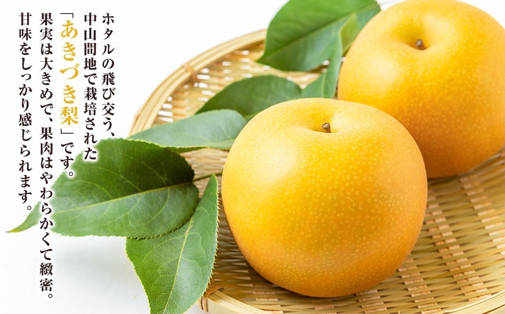 【先行予約】 梨の山茂梨園 あきづき梨 5玉から7玉（約2.5kg）【2026年9月上旬～下旬発送予定】 梨 なし ナシ 果物 くだもの フルーツ 果実 果汁 5玉 7玉 あきづき