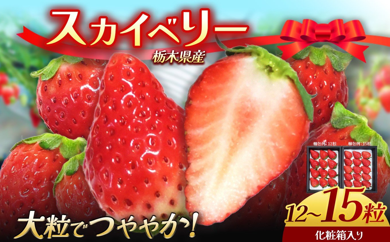 
                  栃木県産 スカイベリー | 12～15粒化粧箱入 紅のみ 2025年度産 2026年12月より随時出荷 産地 大粒 冬 味覚 いちご 苺 イチゴ ストロベリー 大きい ジューシー 甘い あまい 甘味 人気 栃木県 下野市 送料無料
                
