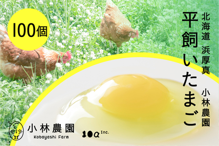 平飼い有精卵 100個【常温便】 たまご 卵 鶏卵 玉子 生卵 平飼い 北海道 [AXAN122]