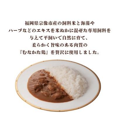 ふるさと納税 宗像市 むなかた鶏カレー 6個セット【道の駅むなかた】_HA1827 |  | 01