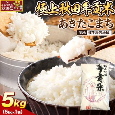 ふるさと納税 秋田県 米 極上秋田年貢米 あきたこまち 横手湯沢地域 5kg |25_jst-030501d