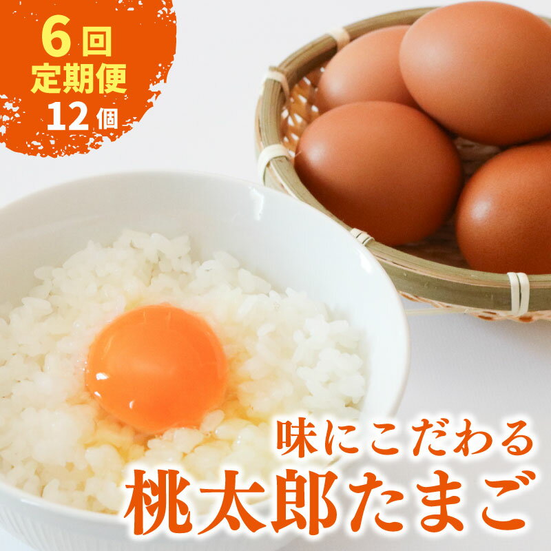 【ふるさと納税】 【6回定期便】 桃太郎たまご 6個入り×2パック | たまご 卵 鶏卵 たまごかけごはん たまごかけ TKG おいしい 赤玉 高級 人気 おすすめ 高知県 南国市