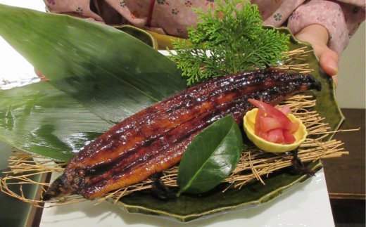 室戸の炙り鯖寿司とうなぎの蒲焼きセット