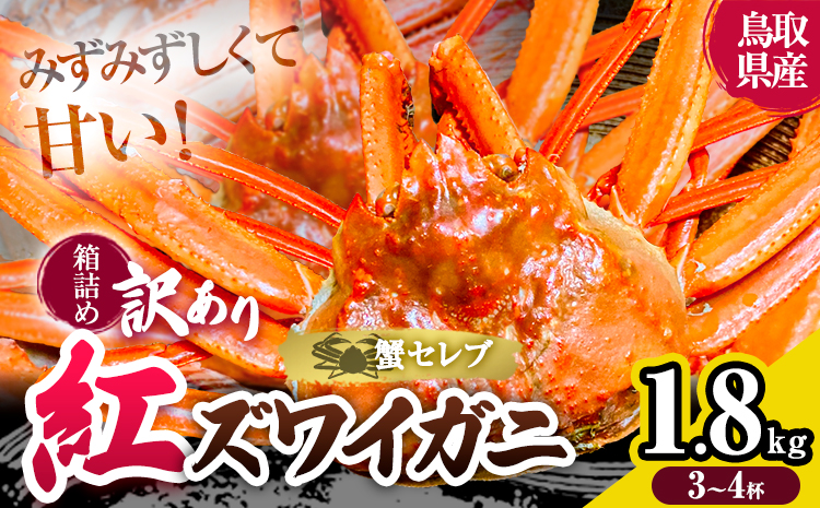 蟹 訳あり 蟹セレブ 紅ズワイガニ 箱詰め 1.8kg（3-4杯） giverichホールディングス《10月上旬-5月下旬頃出荷》鳥取県 八頭町 蟹 かに カニ 紅ズワイガニ 紅ズワイ 訳あり 送料無料