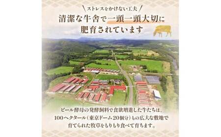 阿寒モルト牛ステーキ肩ロースセットB 牛 ステーキ サーロイン すき焼き 釧路 肉 F4F-4179