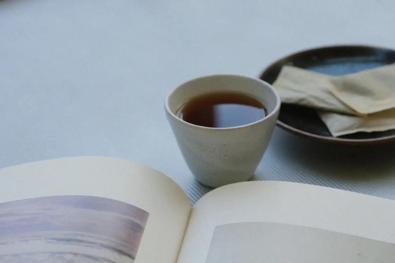 ほうじ茶 ほうじ茶ティーバッグ50p 自然栽培ほうじ茶 J-133