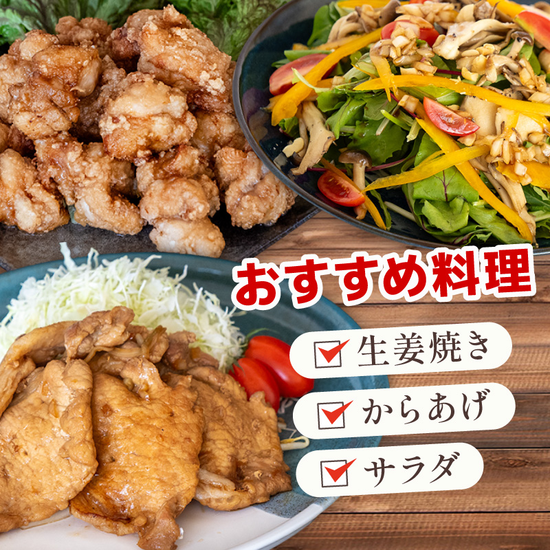 吉平商店【土佐のあわせ しょうが】 パウチ 3パック セット