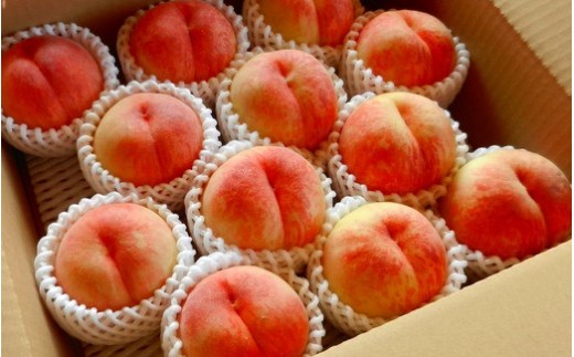 08-02-010　もも(9月旬の白桃)約4kg