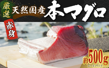 厳選天然国産本マグロ 赤身 500g 以上 魚 高知県 室戸市 刺身 刺し身 漬け丼 海鮮丼 おかず 魚介類 海鮮 海産物 まぐろ 本まぐろ 鮪 ブロック 500グラム 惣菜 冷凍