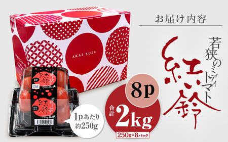 フルーツミディトマト 2kg（1kg×2箱）トマト 野菜  [m37-a025]