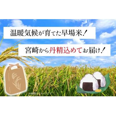 ふるさと納税 日向市 宮崎県産 コシヒカリ 新米 白米 10kg【令和7年産】 |  | 01