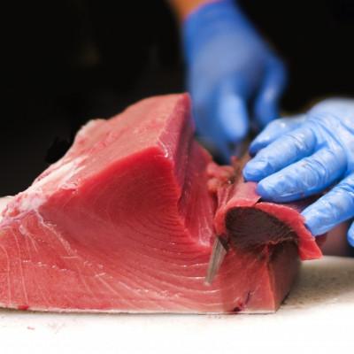 ふるさと納税 本部町 【数量限定・訳あり】本部町産の本マグロ切り落し 約250g |  | 02