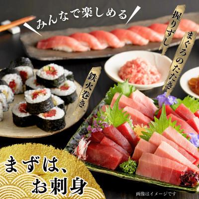 ふるさと納税 三浦市 【まぐろ尽くし】天然本まぐろ詰合せ 500g (中トロ100g、赤身200g、すきみ200g) |  | 01