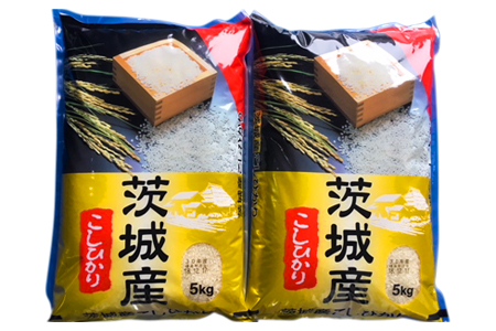 【令和6年産】お米の王様！茨城県産 コシヒカリ 白米 10kg (5kg×2袋)｜おこめ 精米 こしひかり 直送 稲敷 茨城 [1623]