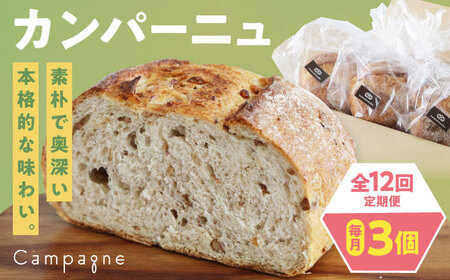 パン【全12回定期便】【冷凍】カンパーニュ3種セット (プレーン・いちじく・五穀)  パン[AGAY053]