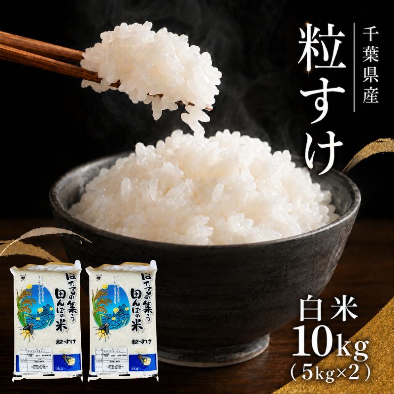 【令和8年産】 粒すけ  白米10kg  （ 5kg×2  ） 千葉産 白米　【 お米 こめ コメ おこめ 】