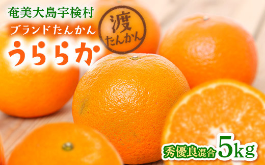 
                  【予約・数量限定】 2027年2月～出荷予定 《ブランドたんかん》 うららか 光センサー 秀優良品 M~2Lサイズ混合 奄美大島産たんかん5kg もぎたて 旬をお届け 鹿児島県 宇検村 渡タンカン農園
                