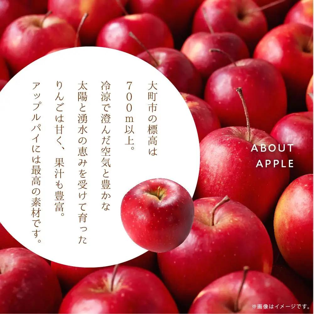お菓子 焼菓子 アップルパイ 5号 ( 約15cm ) 1台 信州 立田屋 | アップルパイ