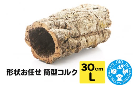 形状お任せ 筒型コルク Lサイズ 長さ30cm エアプランツ 着生植物