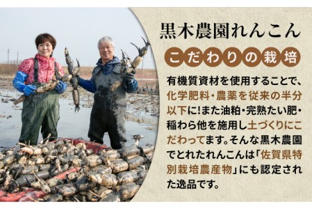 極上れんこん 約2kg 化粧箱 （黒）入り 大切な人へのギフトにもおすすめ！【黒木農園】 [IAU002]