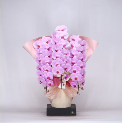 1032 フォアスPREMIUM胡蝶蘭3本立ち45輪以上 ピンク (A1032-2)