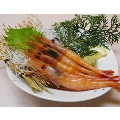 ぷりぷりの浜坂産 船内冷凍「あまえび」500g入り【配送不可地域:離島】【1561585】