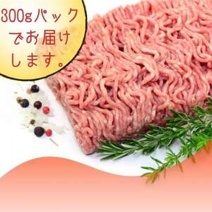 博多和牛100%ミンチ(挽肉)【訳あり】600g(300g×2個)(大牟田市)【配送不可地域：離島】【1608338】