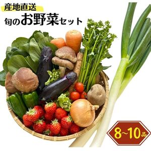 直売所からお届け！旬の野菜セット（8～10品詰め合わせ）JA 新鮮な野菜直送便 糸魚川 新潟【野菜 詰め合わせセット 野菜セット 旬の野菜 野菜 詰め合わせセット 野菜セット 旬の野菜 野菜 詰め合わせセット 野菜セット 旬の野菜 野菜 詰め合わせセット 野菜セット 旬の野菜 野菜 詰め合わせセット 野菜セット 旬の野菜 野菜 詰め合わせセット 野菜セット 旬の野菜野菜 詰め合わせセット 野菜セット 旬の野菜 野菜 詰め合わせセット 野菜セット 旬の野菜 野菜 詰め合わせセット 野菜セット 旬の野菜  野菜