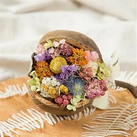 ナッツのドライフラワーアレンジメント_花・観葉植物  花 _【1418477】