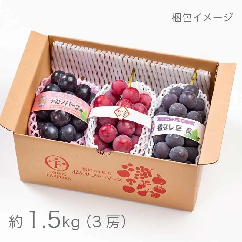 長野県産 旬のぶどう3種セット 種無し巨峰 ナガノパープル 赤系ぶどう 各1房 約1.5kg ［おぶせファーマーズ］ 詰め合わせ 詰合せ 食べ比べ 果物 フルーツ ぶどう 葡萄 クール便 冷蔵便 令和