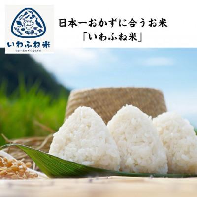 ふるさと納税 村上市 【令和6年産米】にいがた岩船産コシヒカリ(神林産地)5kg A4134 |  | 01