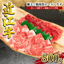 【ふるさと納税】 近江牛 特選 焼肉用 800g 冷凍 黒毛和牛 牛肉 焼肉 焼き肉 ロース ウデ 食べ比べ 霜降り 赤身 ブランド 三大和牛 贈り物 ギフト プレゼント 滋賀県 竜王 岡喜