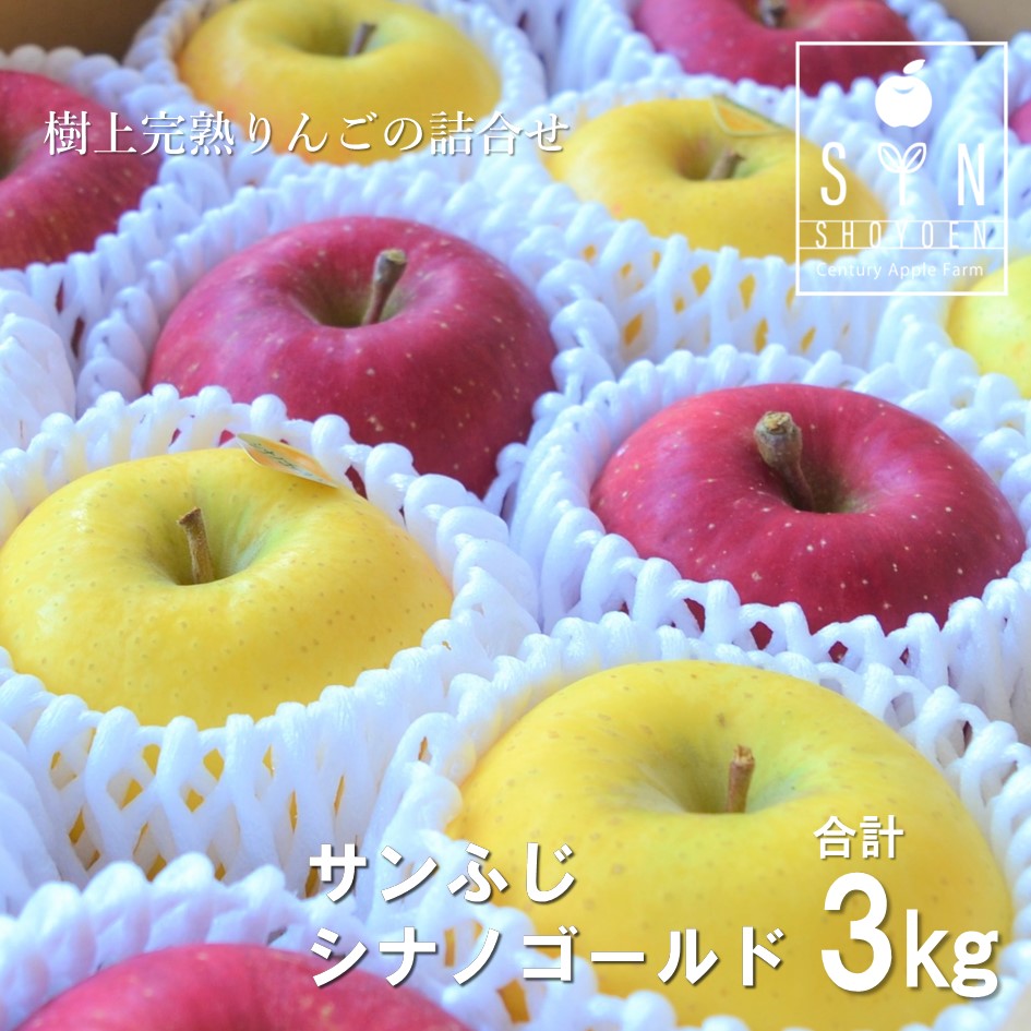 りんご 食べ比べ セット サンふじ シナノゴールド 3kg 松陽園 樹上 完熟 岩手県 遠野市 農家直送 【令和7年産 先行予約 2025年11月中旬ごろから発送予定 】