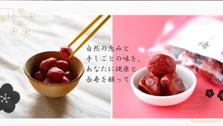 郡上延年梅ギフト 梅干し・赤しそのセット 梅 うめ 梅 うめ