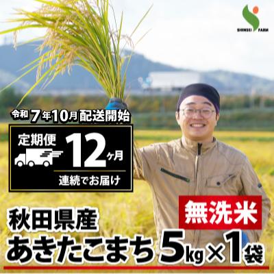 ふるさと納税 大館市 新米【定期便12ヶ月】秋田県産あきたこまち(無洗米)5kg