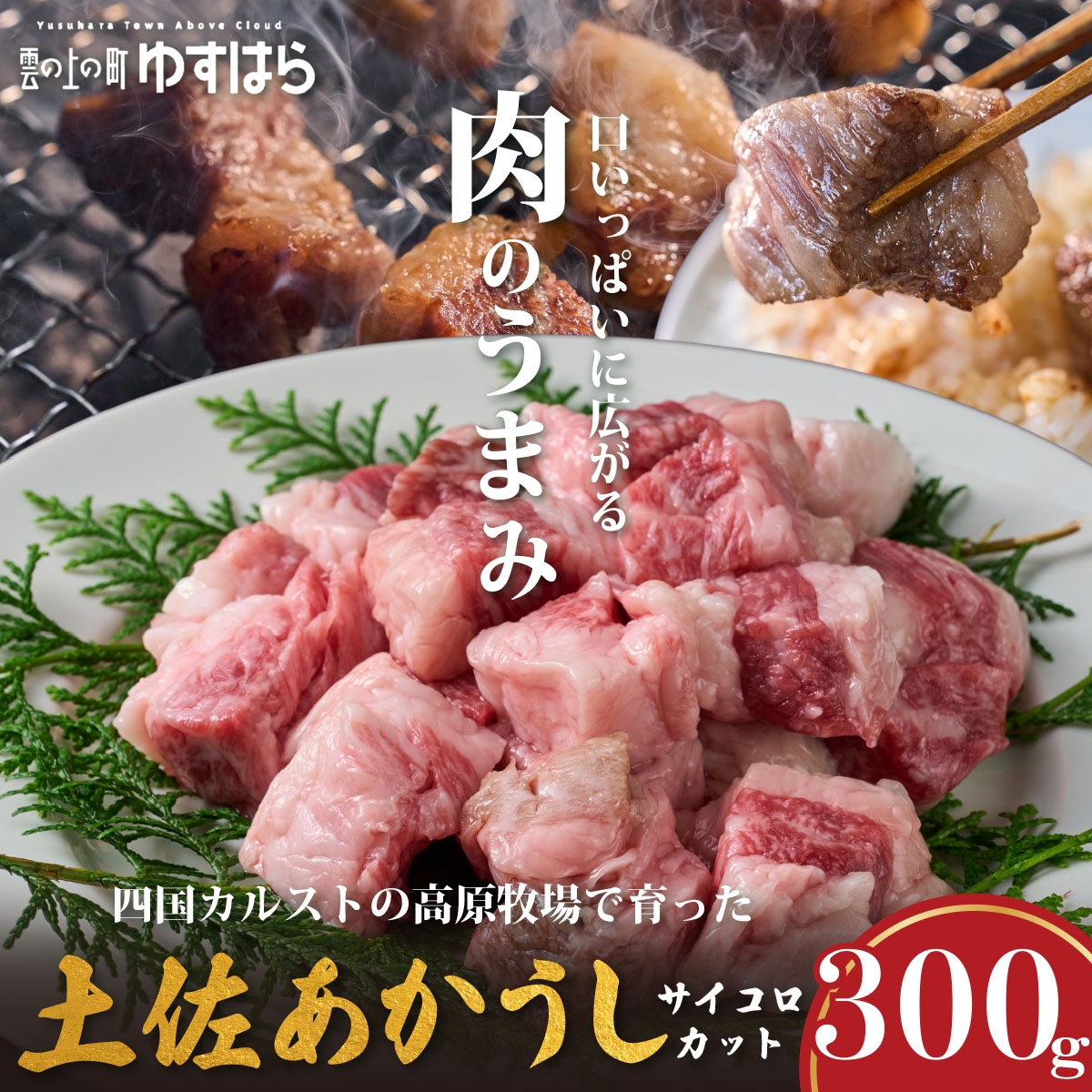 
                  低温でも脂身がとろける土佐あかうしサイコロカット 300g　牛肉 和牛 国産 BBQ オレイン酸 高知県産
                