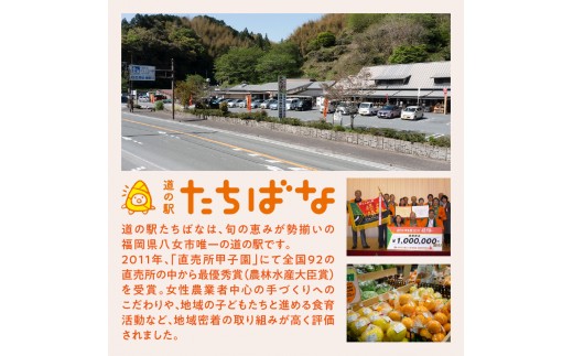 八女茶アイス・八女栗アイスセット 12個入り【ふるさと愛プロジェクト】 八女茶 八女栗 ご当地アイス 共同開発 福岡県 八女市