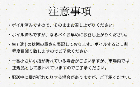 【先行予約/12月25日より順次発送】【年末希望】 越前がに 900ｇ×2ハイ ズワイガニ ずわいがに ボイル 冷蔵 小浜市 / まるほ商店 【配送不可地域：北海道・沖縄・離島】[BFCS043]
