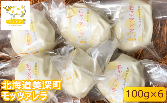 
[№5894-0532]北海道美深町 モッツァレラ100g×6【北ぎゅう舎】
