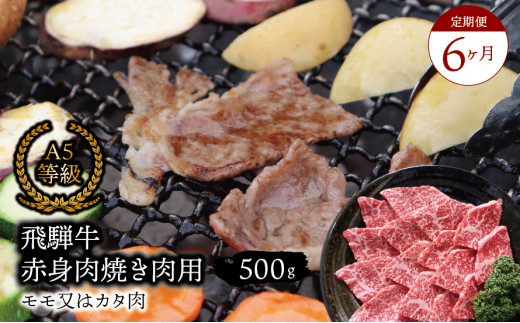 【６ヶ月定期便】A5等級飛騨牛 赤身肉 焼き肉用 500ｇ モモ又はカタ肉 2025/9/19～
