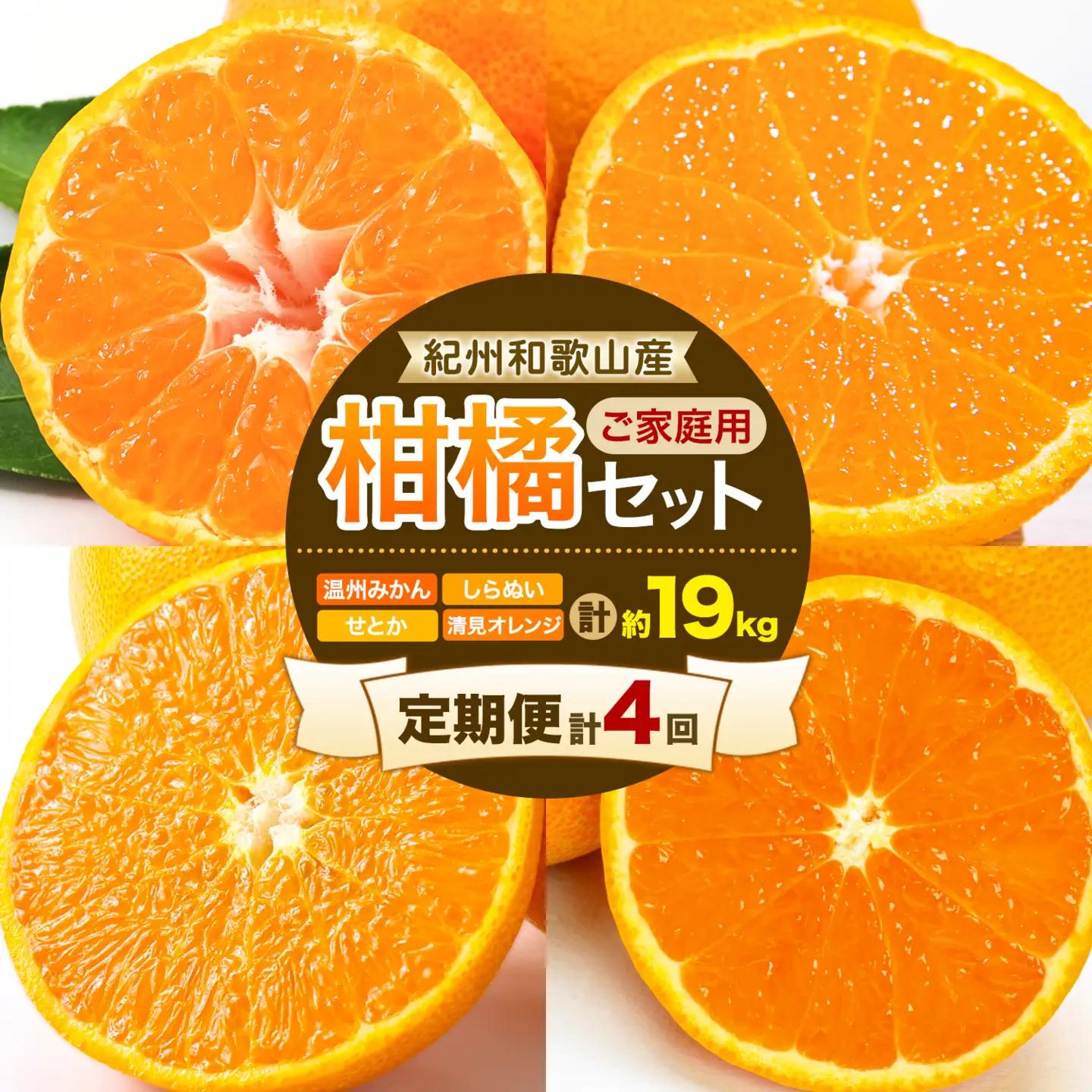 紀州 和歌山産 旬の ご家庭用 柑橘 セット (みかん 不知火 せとか 清見)【全4回】 株式会社魚鶴