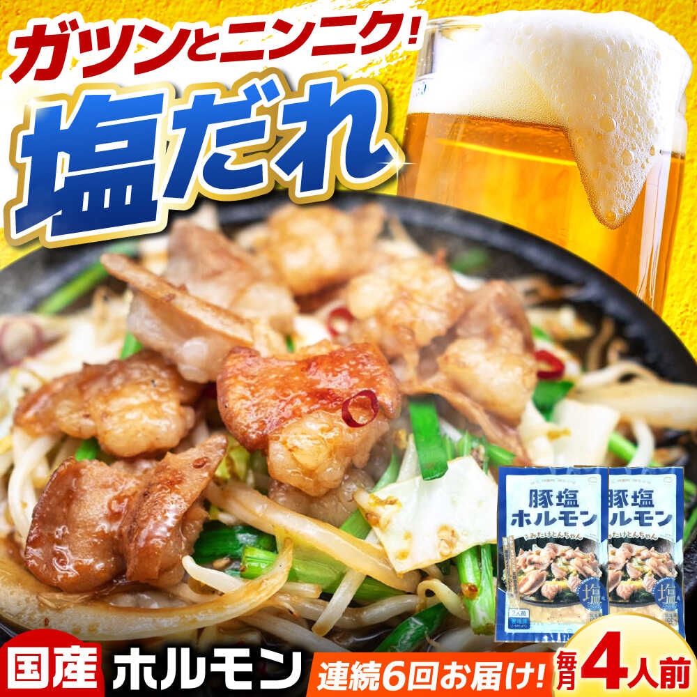 【ふるさと納税】【6回定期便】岐阜県産豚もつの鉄板焼き「元祖みたけとんちゃん」豚塩味（4人前） / モツ もつ 白もつ ホルモン / 御嵩町 / 藤よし[AVAA059]